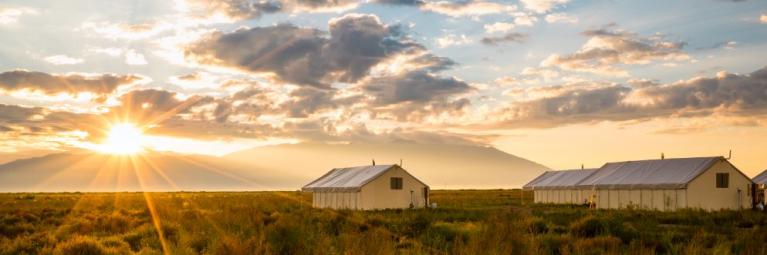 Sunset with the sun on the left side of the screen, and two houses on the right side of the photo, a few light fluffy clouds are seen in the distance. This is shown over a field of grass that is dying off for the summer