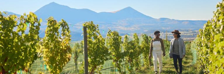 A pair of travelers walk through a Palisade vineyard on a sunny day