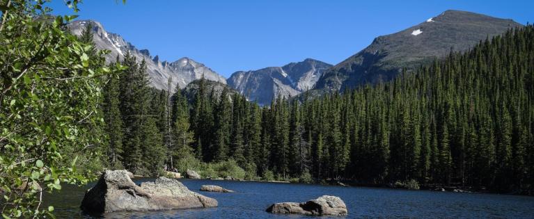 Lake surrounded by trees and mountain range