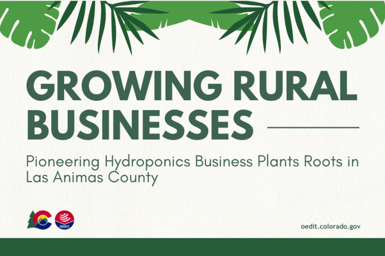 Promotional graphic titled "Growing Rural Businesses" featuring the text "Pioneering Hydroponics Business Plants Roots in Las Animas County" with logos for Colorado and OEDIT at the bottom. The background includes a subtle leaf pattern.