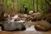 A hiker passes over a rushing stream in the woods.